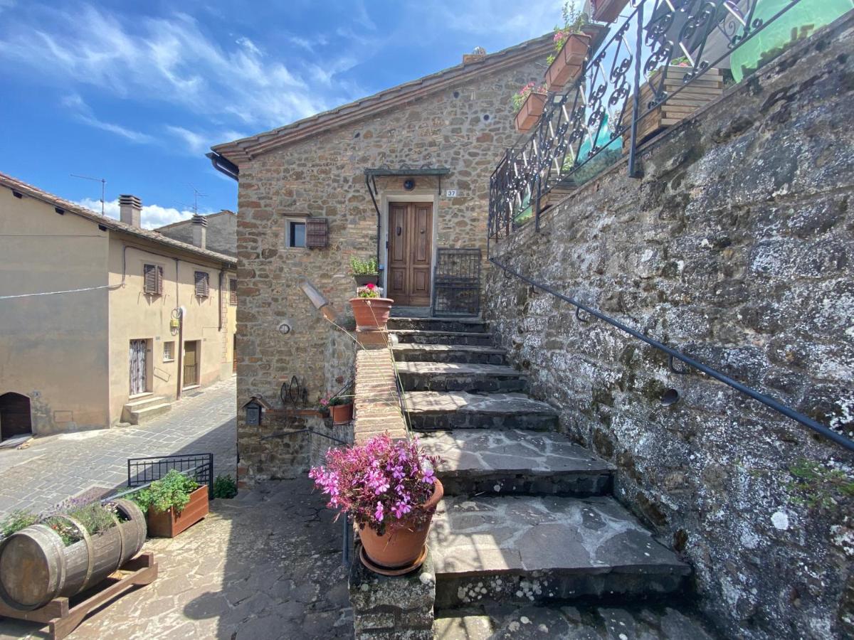 Panoramic Nest In Montalcino - Housity