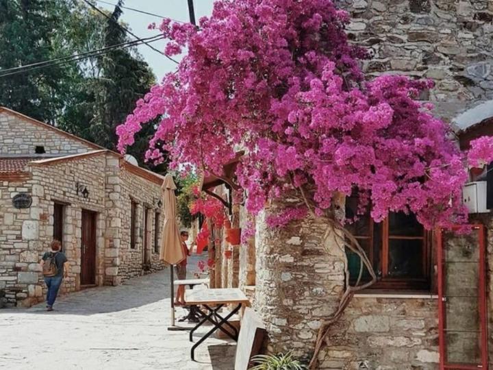 Villa Mila - Housity