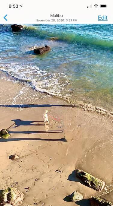 Malibu Beach at its Best... - Housity