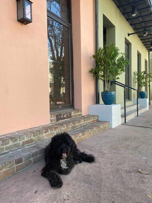 Historic Garden District 5BR with Parking and Balcony - Housity