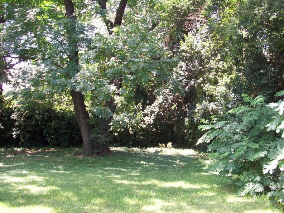 CASA QUINTA FINCA CON PISCINA (COUNTRY HOUSE) - Housity