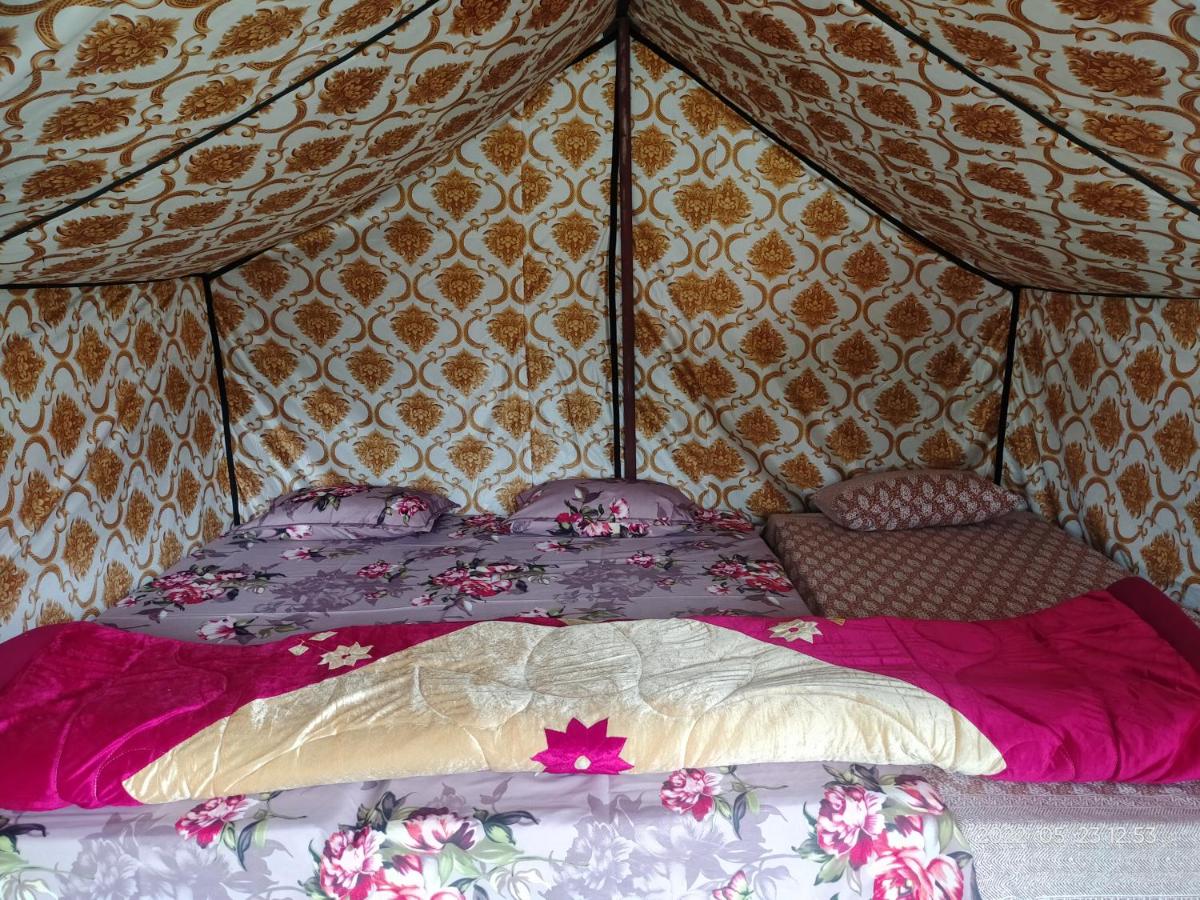 Tungnath View Camps - Housity