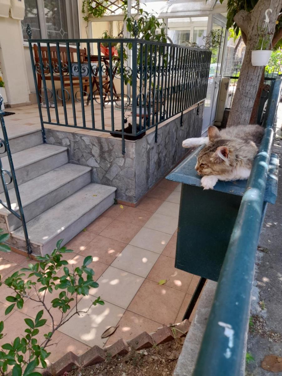 Friendly Philoxenia - Housity