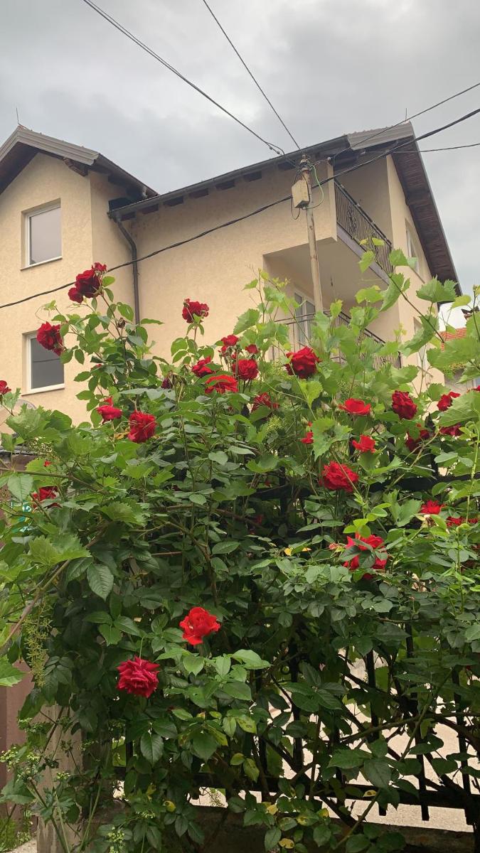Saray House - Housity