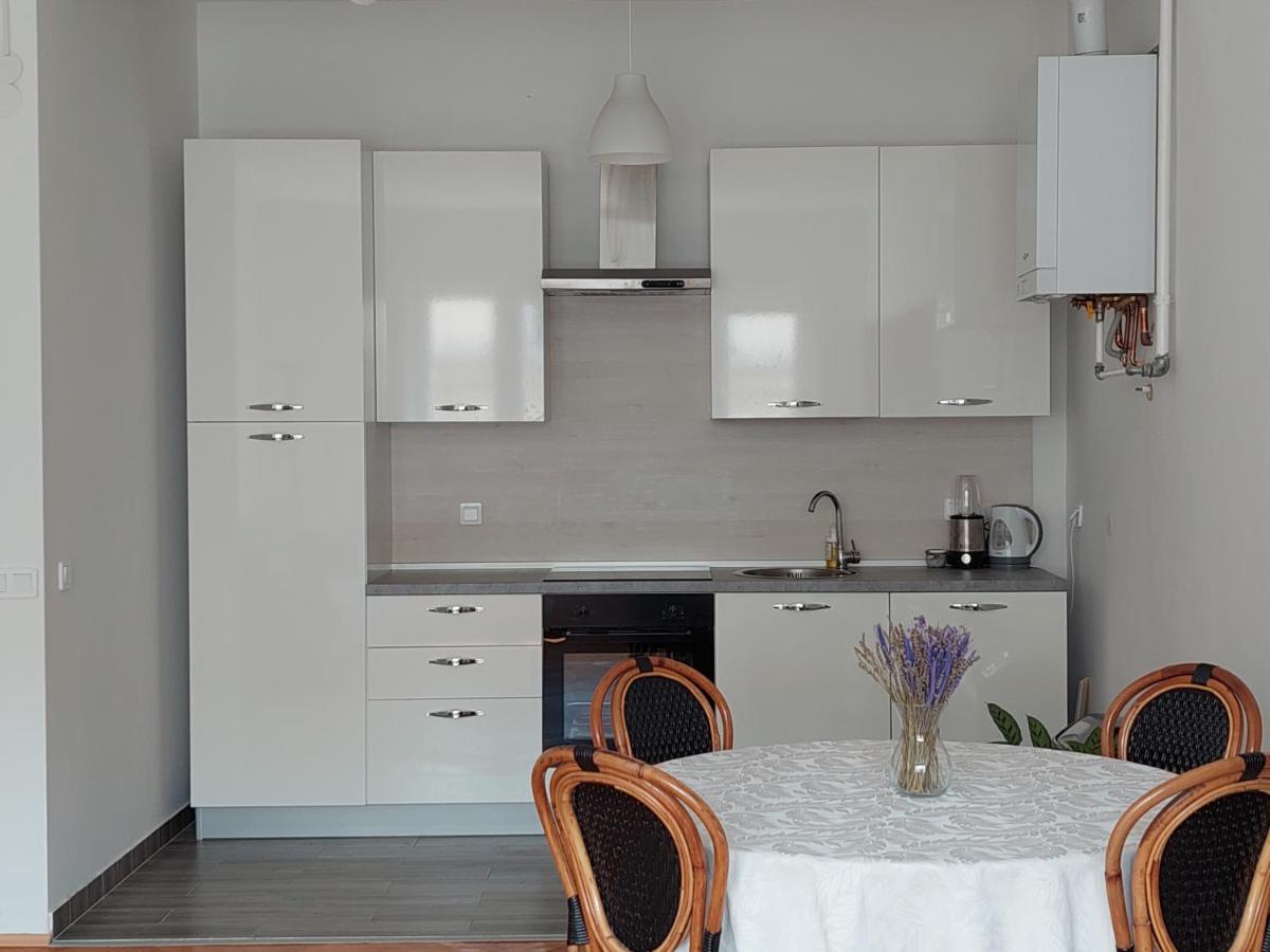 Spacious Apartment Petrinjska - Housity