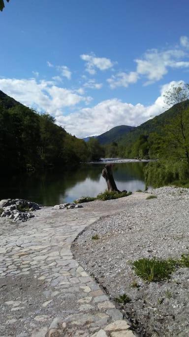 Suitetrails - Pegaz