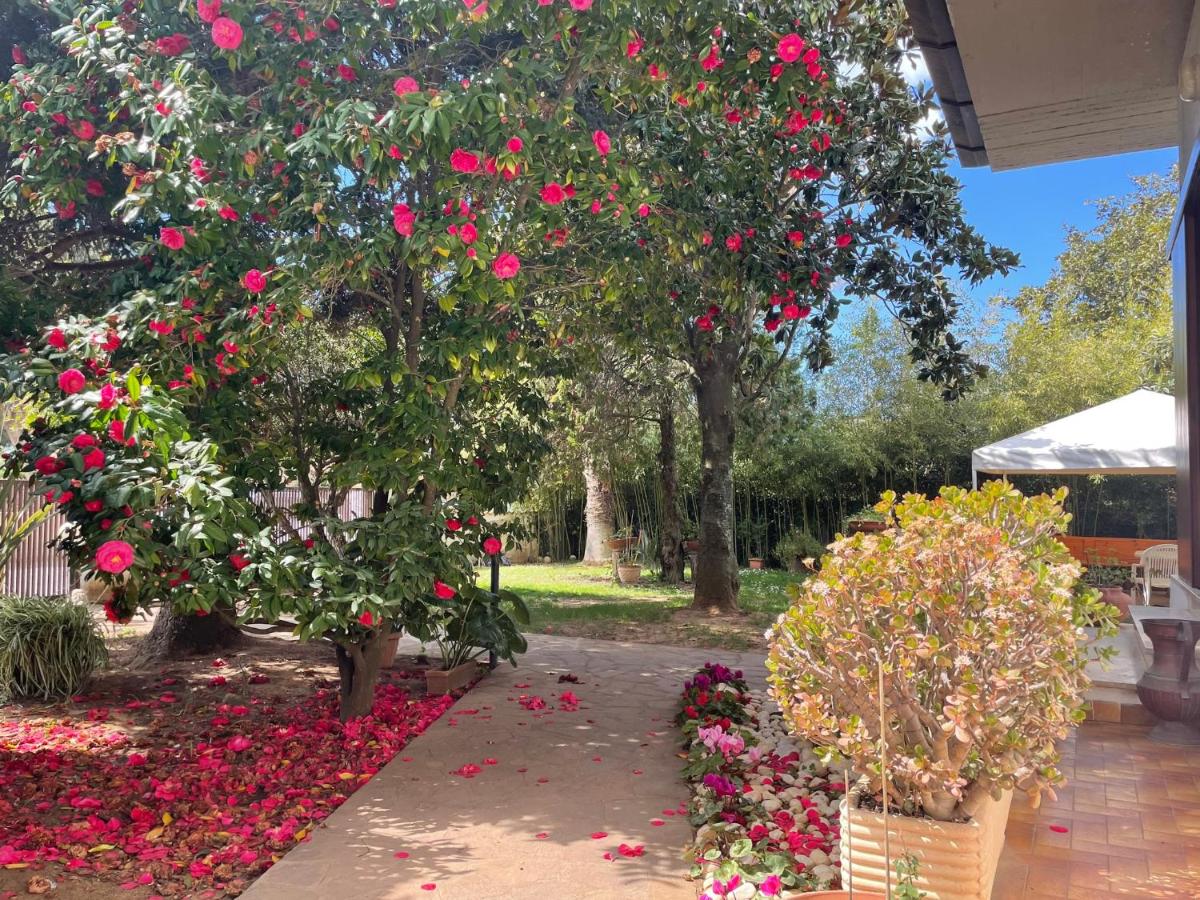 Appartamento in Villa con giardino vicino al mare - Housity