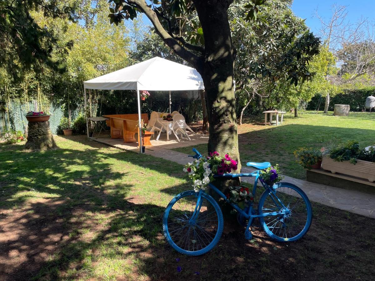 Appartamento in Villa con giardino vicino al mare - Housity