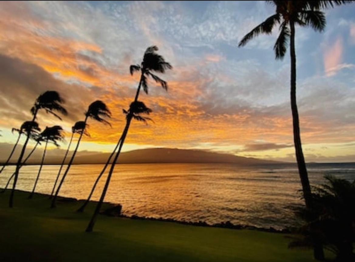 Spectacular luxury , modern oceanfront condo Maalaea-Kihei ,Maui - Housity