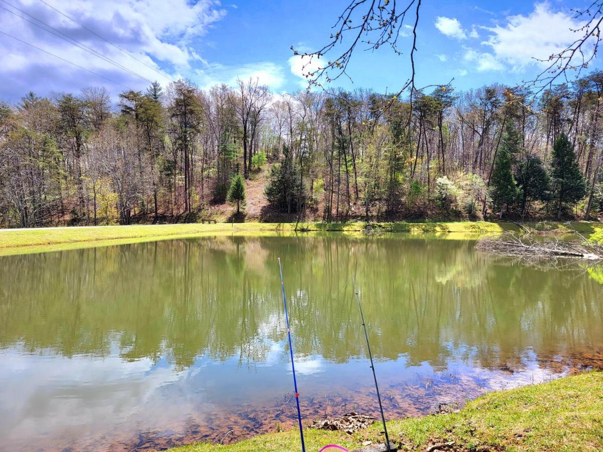 LUXURY CABIN WITH WATERVIEW AND PRIVACY, hiking - Housity