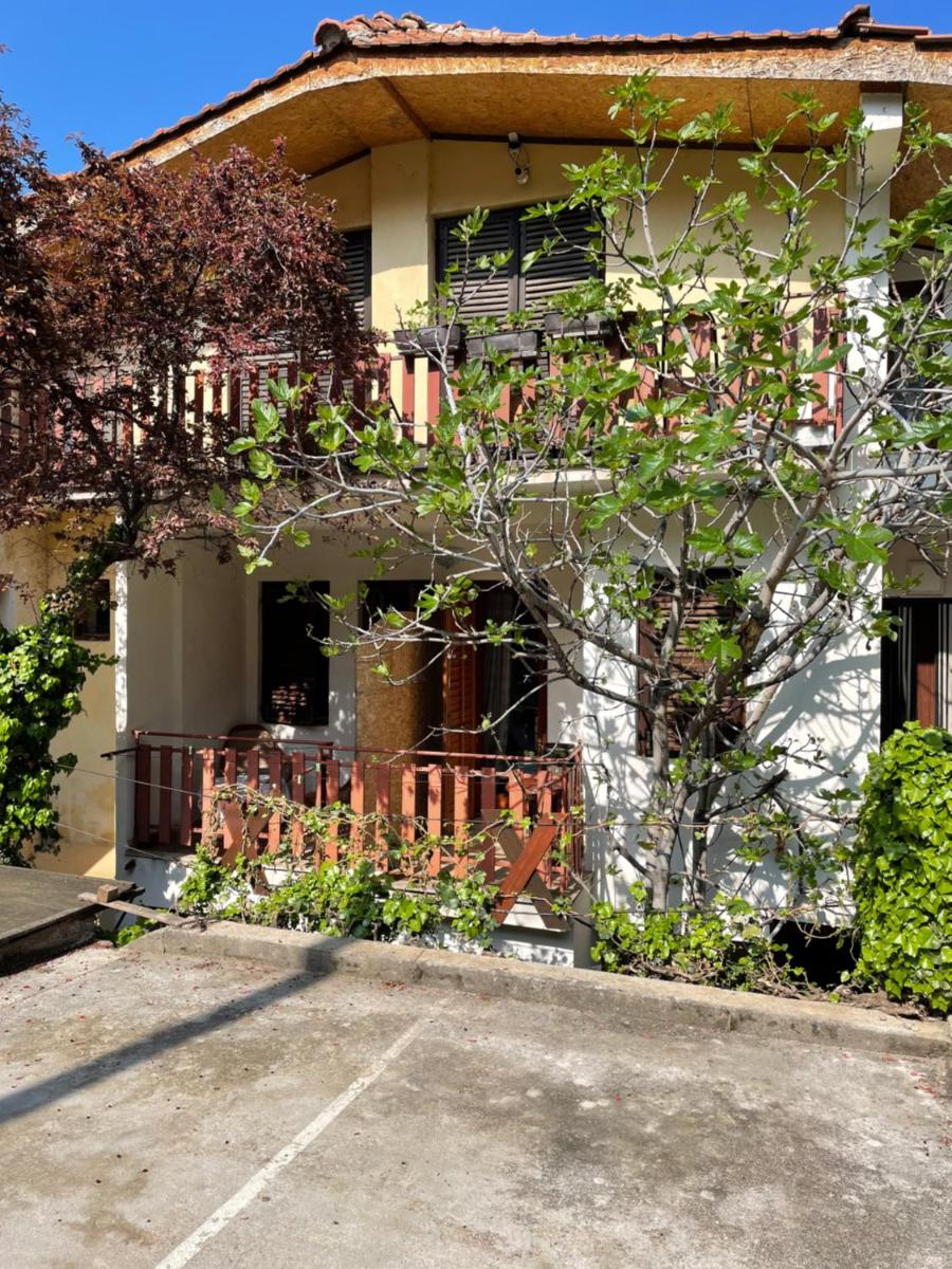 Sonce Guest House - Housity
