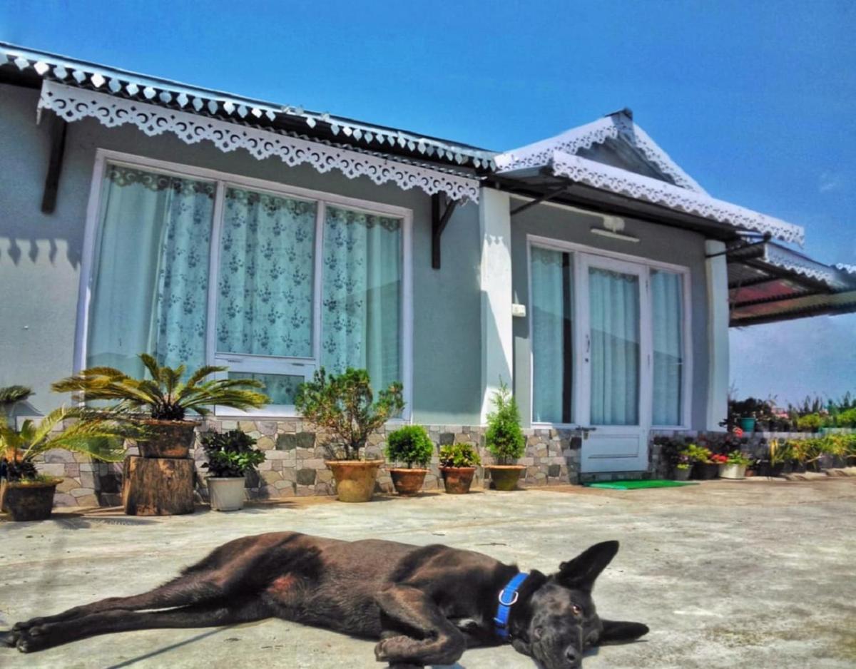 Thapa Homestay by StayApart - Housity