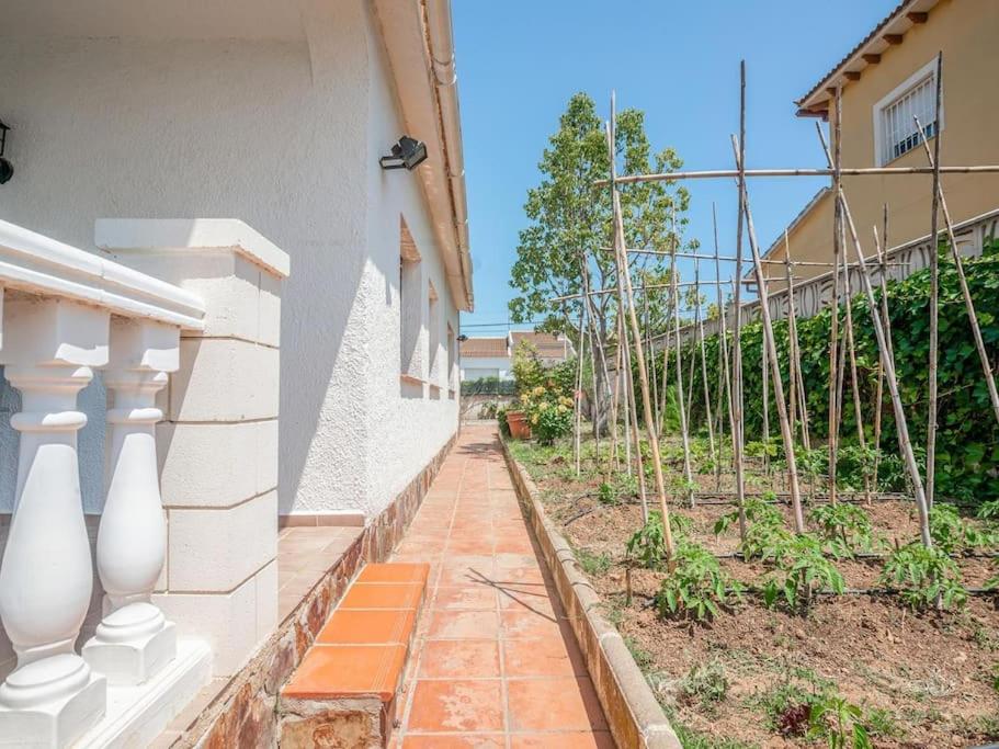 Lovely house with a huge garden - Housity