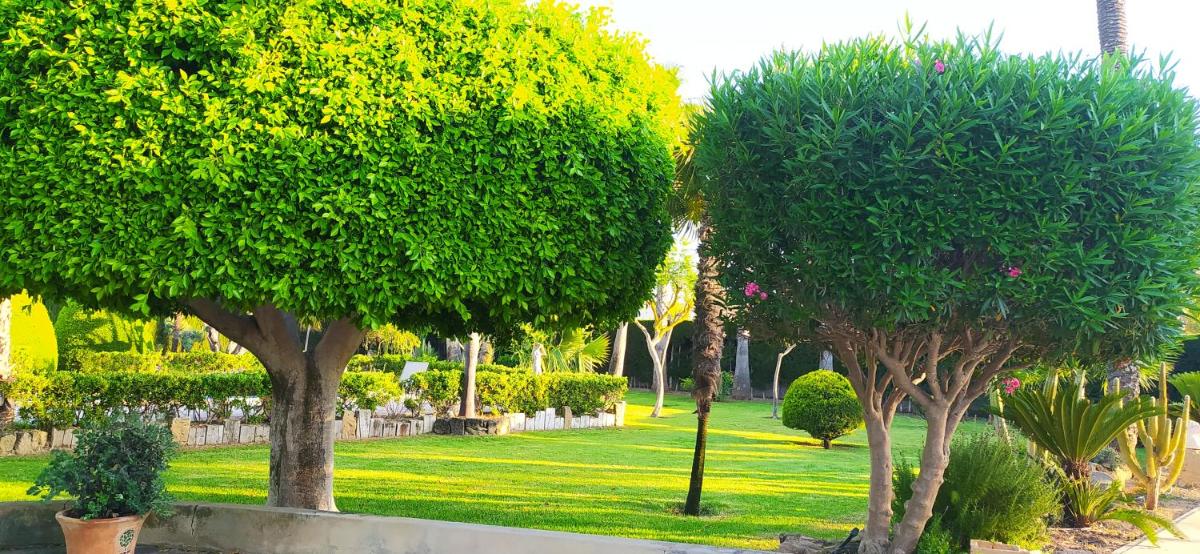 CASA JOAN - Housity