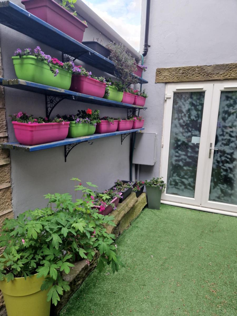 Plover Cottage - Housity