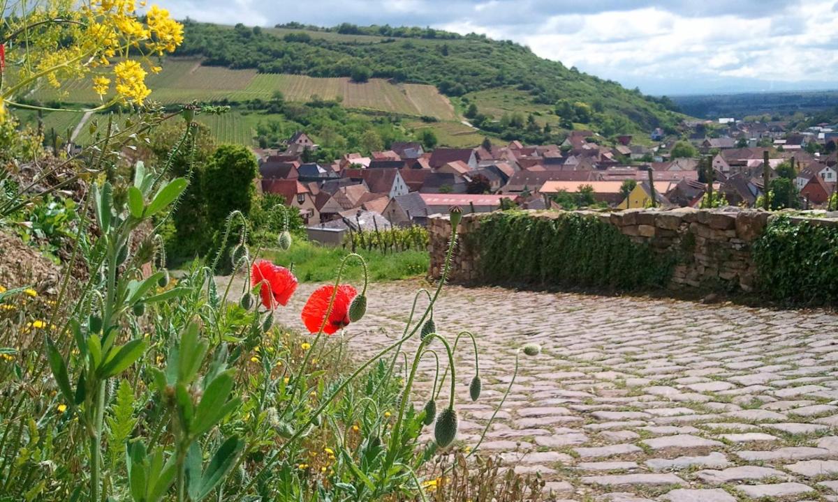 une passerelle en pierre avec des fleurs rouges et un village dans l'établissement Auberge du Cheval Blanc depuis 1785, à Westhalten