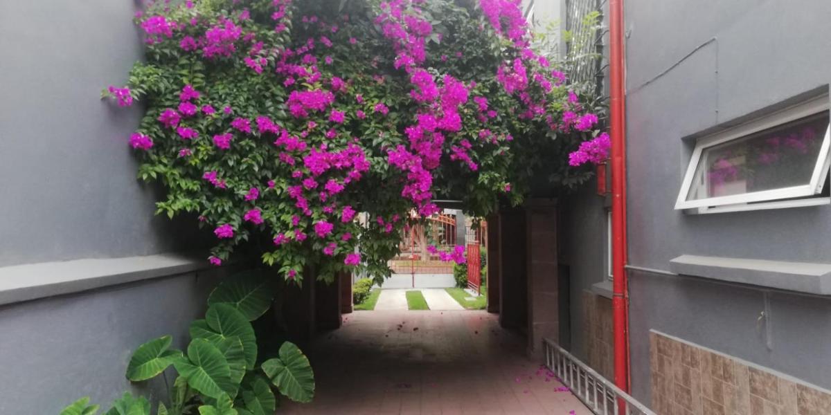 Arte y cultura, Casa Polanco. - Housity