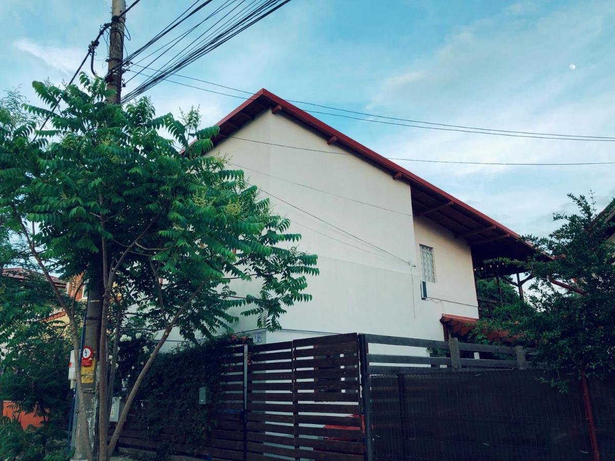 Casa cu Smochin | House with the fig - Housity