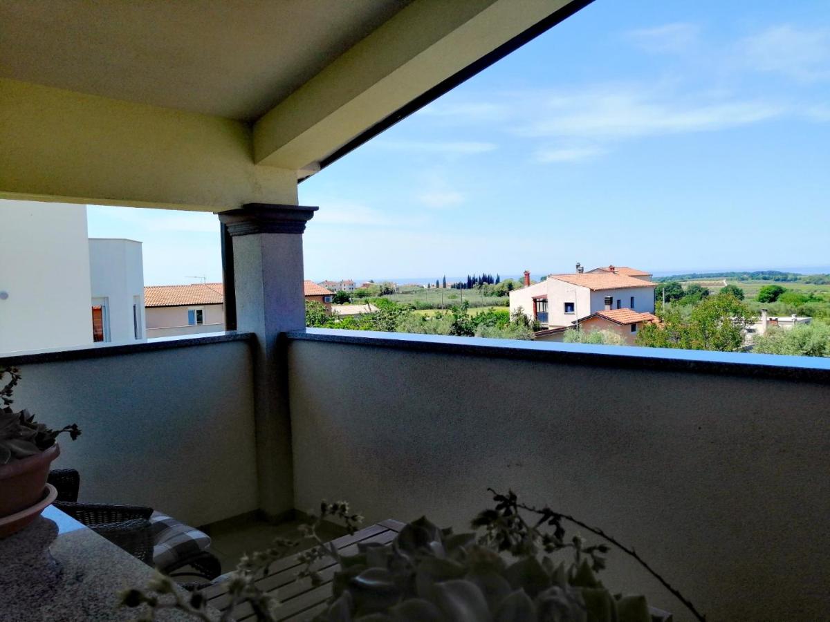 7 PALMI Novigrad - Housity
