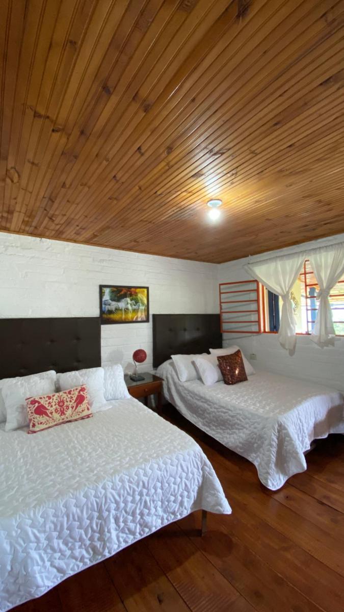 Cerro Verde Salento - Housity