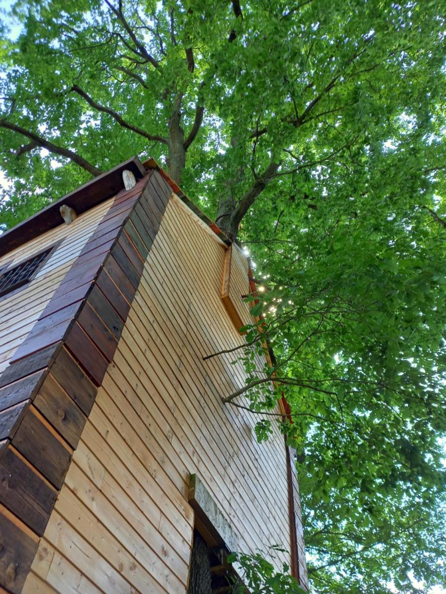 Cabane suspendue dans les arbres - Housity