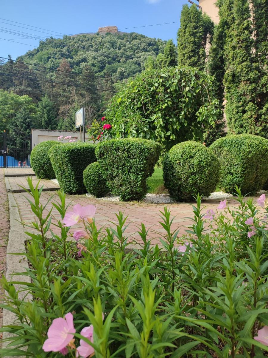 Casa Alina - Housity