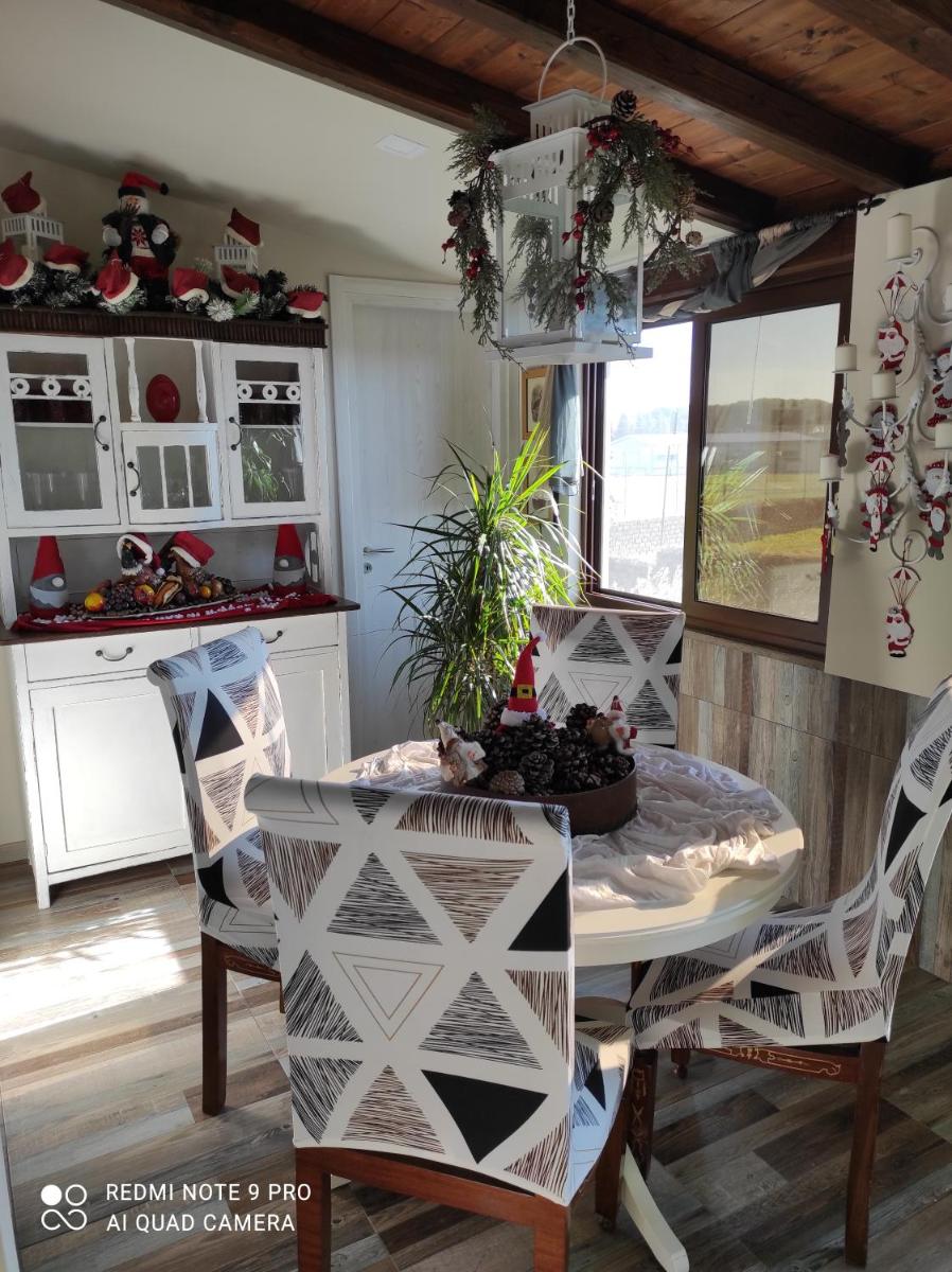 Cactus house - Housity