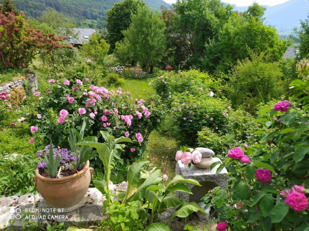 Studio au pied de la montagne et vue imprenable - Housity