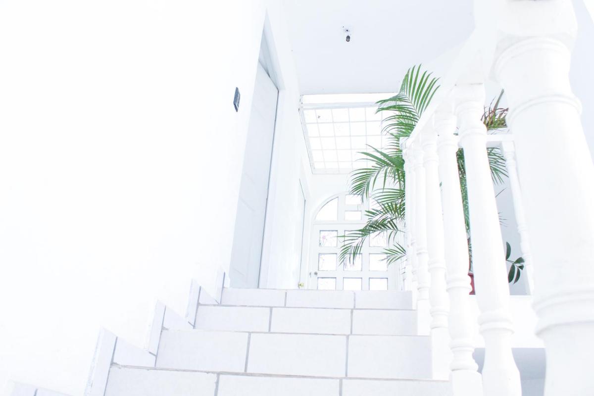 Amazing House in Manzanilla Beach- Entire House - Housity