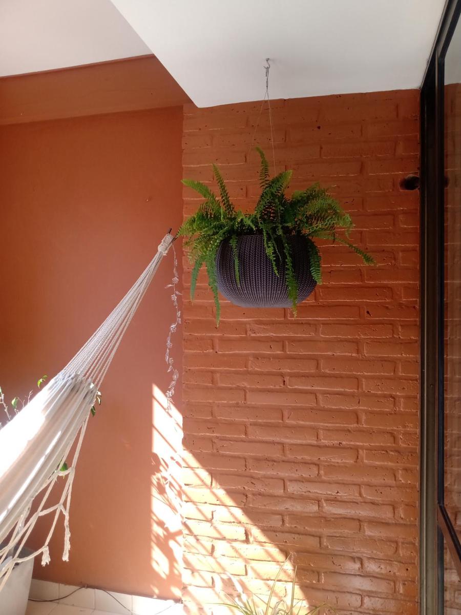Centro departamento - Housity