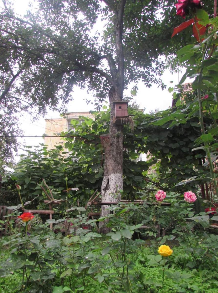 Suitetrails - Ruzanna's Bed & Breakfast