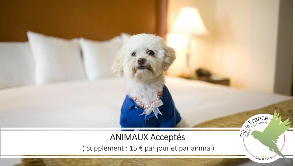Animal ou animaux domestique(s) séjournant avec des clients dans l'établissement Hotel & Spa Gil de France Cap d'Agde