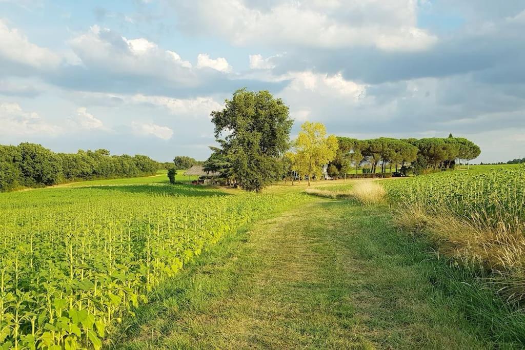 Gîte de campagne L'Estressol - Housity