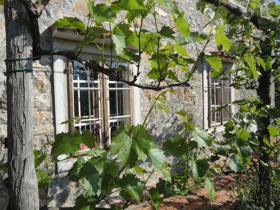 A lovely house in Vipava valley - Housity