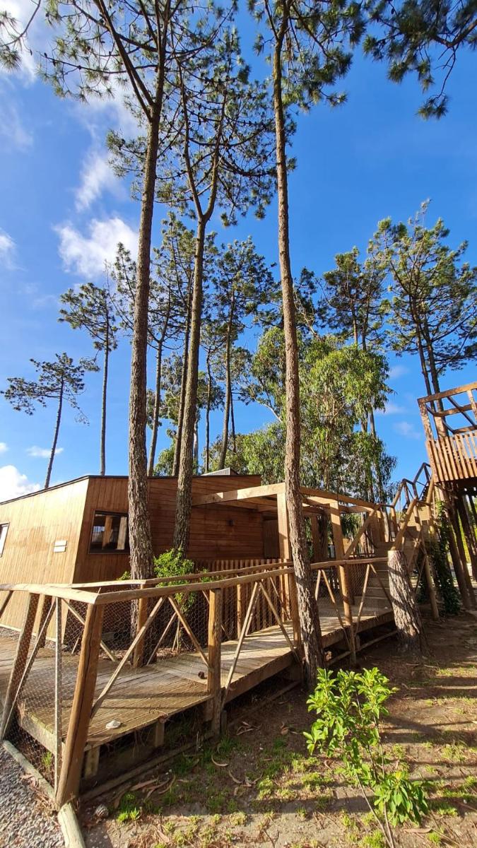 Imagem da galeria de Bukubaki Eco Surf em Ferrel