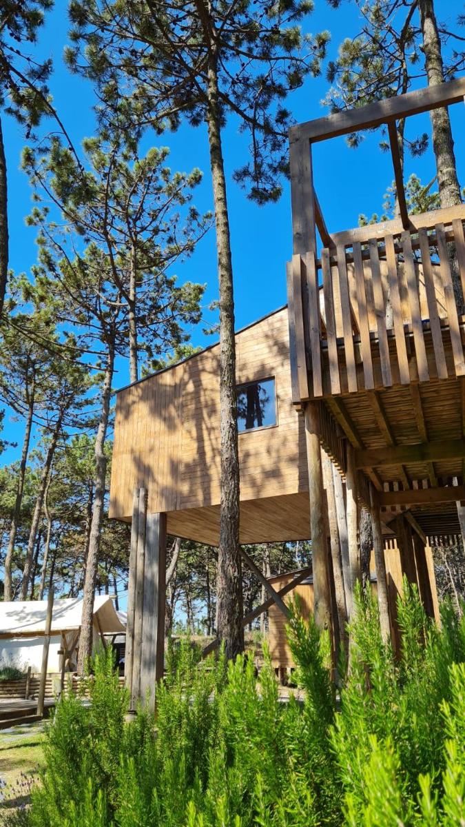 Um jardim no exterior de Bukubaki Eco Surf