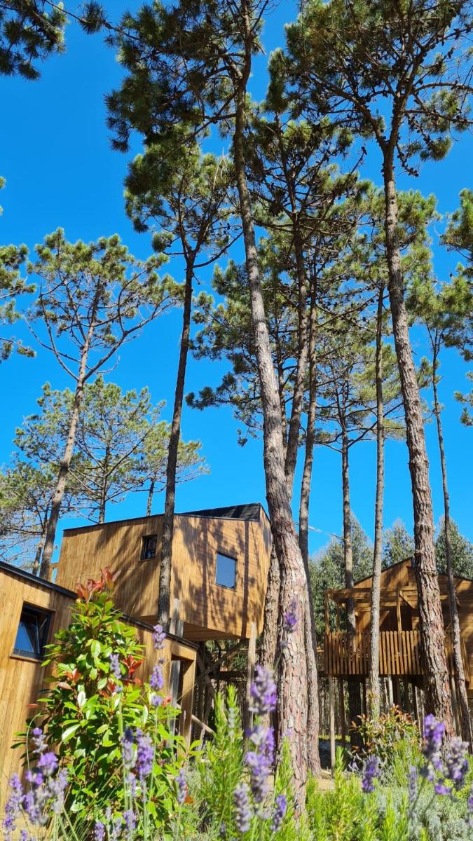 Paisagem natural perto do resort