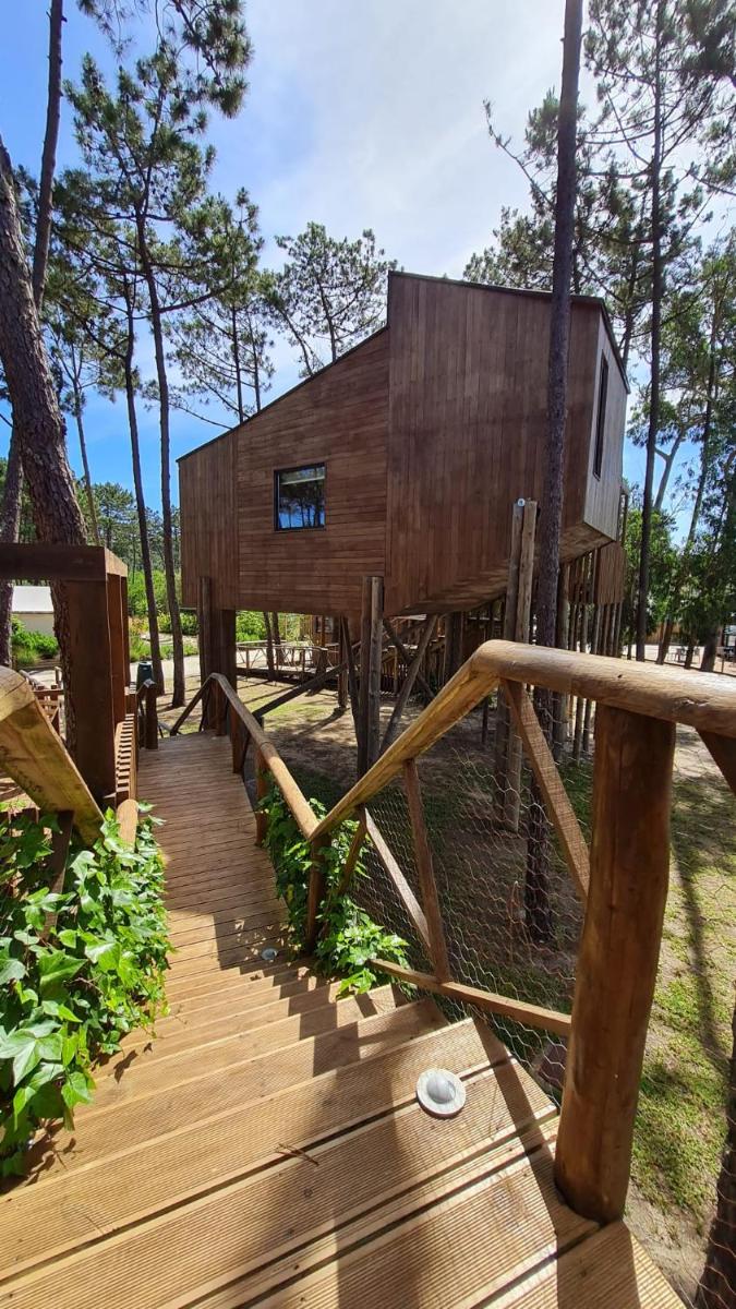 Um jardim no exterior de Bukubaki Eco Surf
