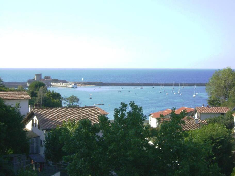 Le Cèdre Bleu - Housity