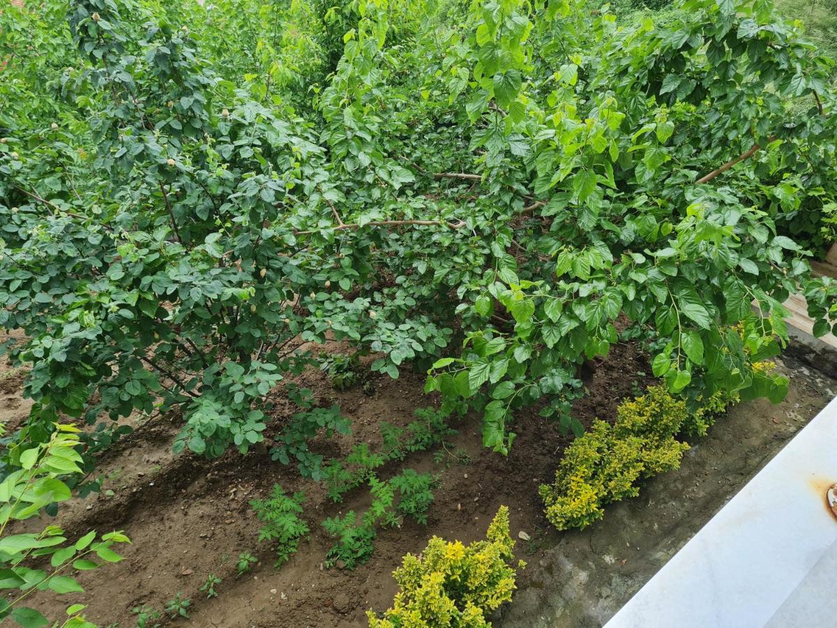 Bursa 2 - Housity