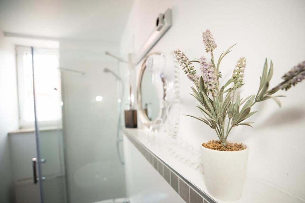 Hotel Weiße Mühle - Housity