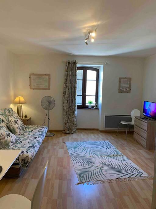 Aubenas plein centre tout près du château - Housity
