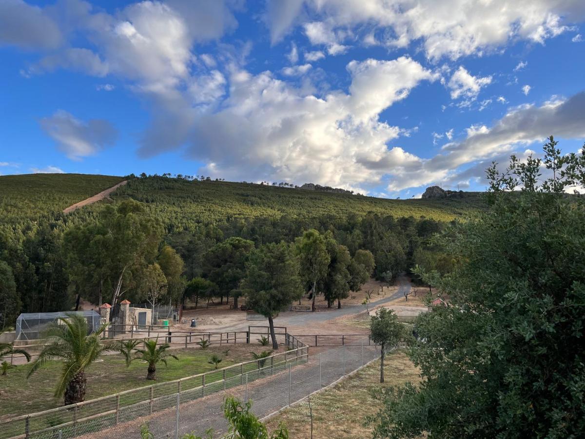 Apartamentos Rurales Casa Josefita - Housity