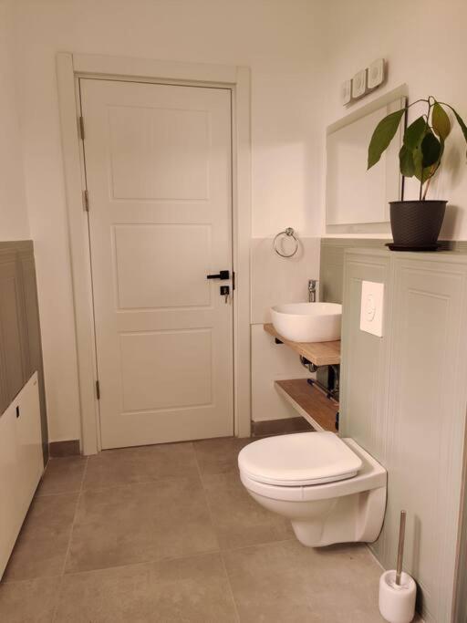 Casa Carolina - Housity