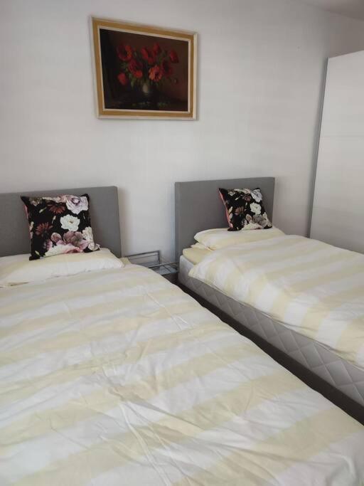 Suitetrails - Behagliche Ferienwohnung 2.0