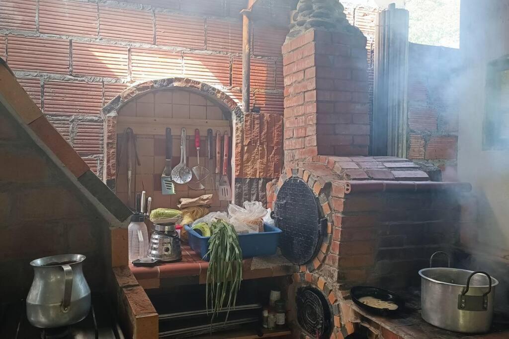 Casa de campo llena de vida con Jacuzzi - Housity