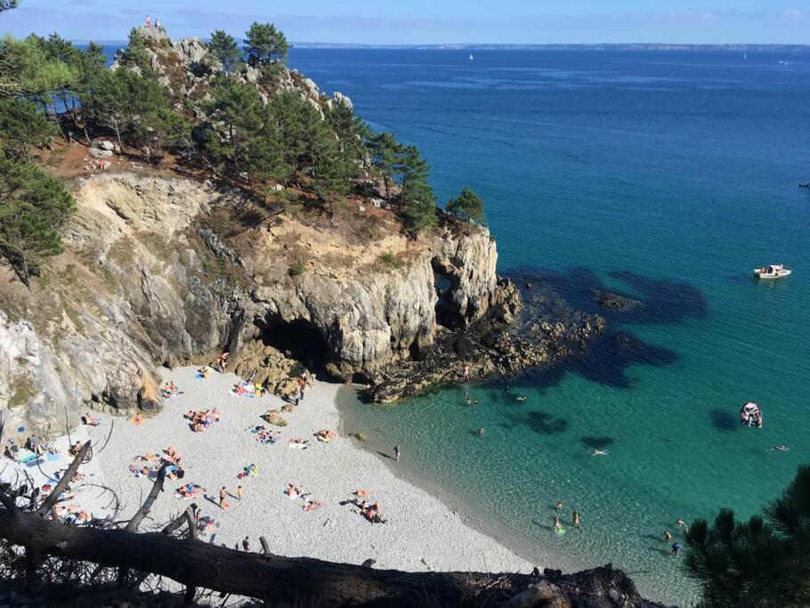La cabine du bout du monde avec Mezzanine PL08 -Le Creach, votre maison de vacances de haut standing - Housity