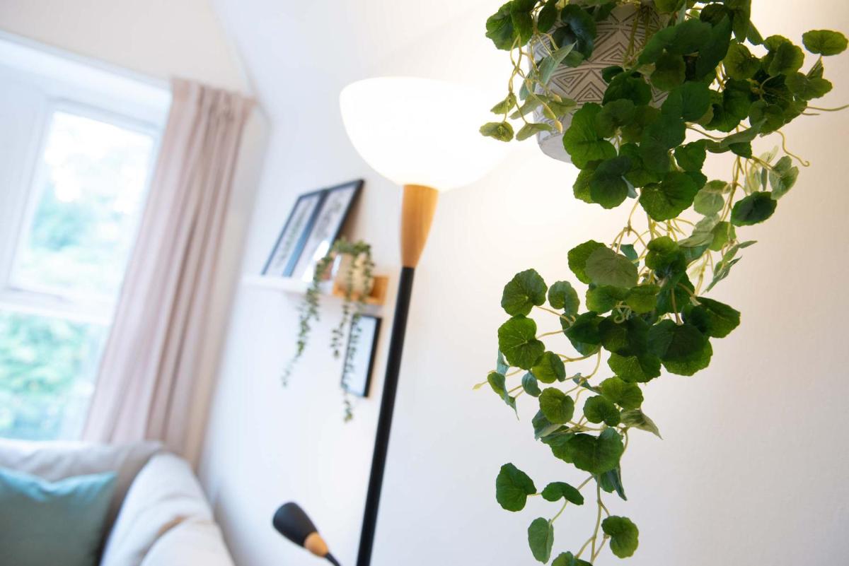 1 bed central Cardiff loft apartment near Stadium - Housity
