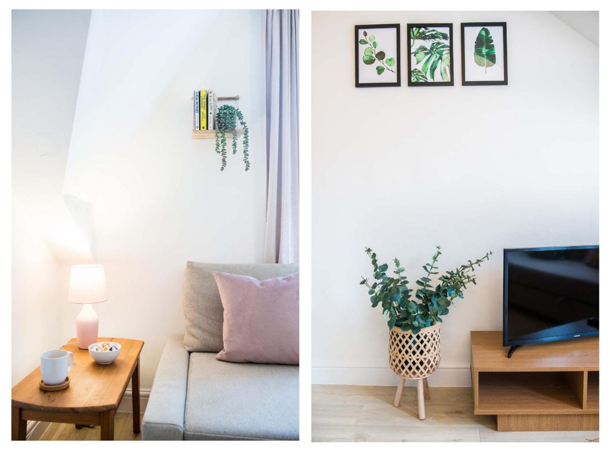 1 bed central Cardiff loft apartment near Stadium - Housity