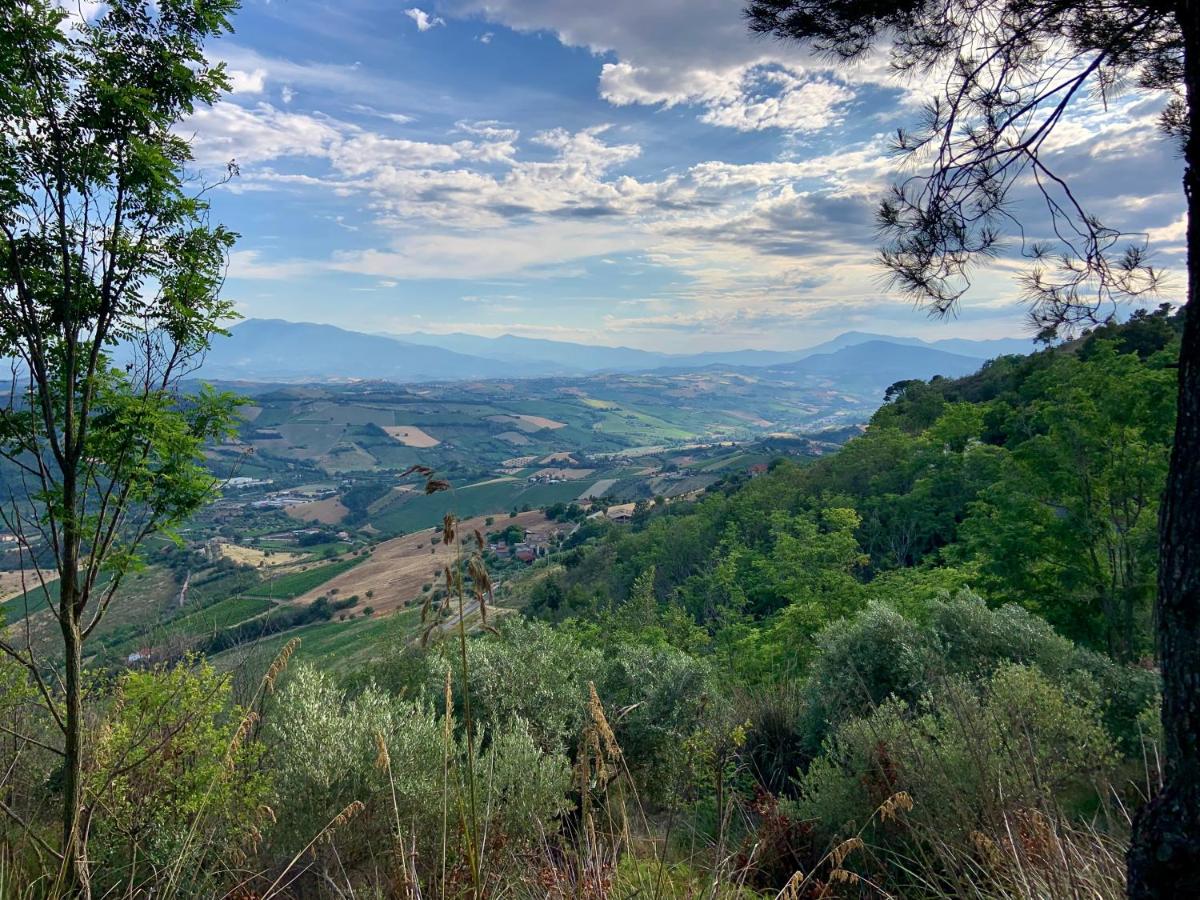 Suitetrails - Torre del Gallo